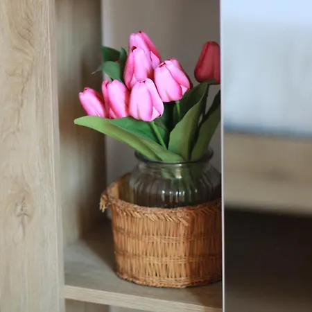Flaminio Luxury - Center Apartment